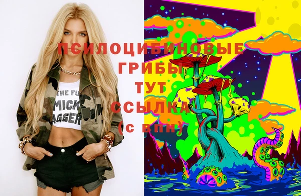 молекула духа Армянск